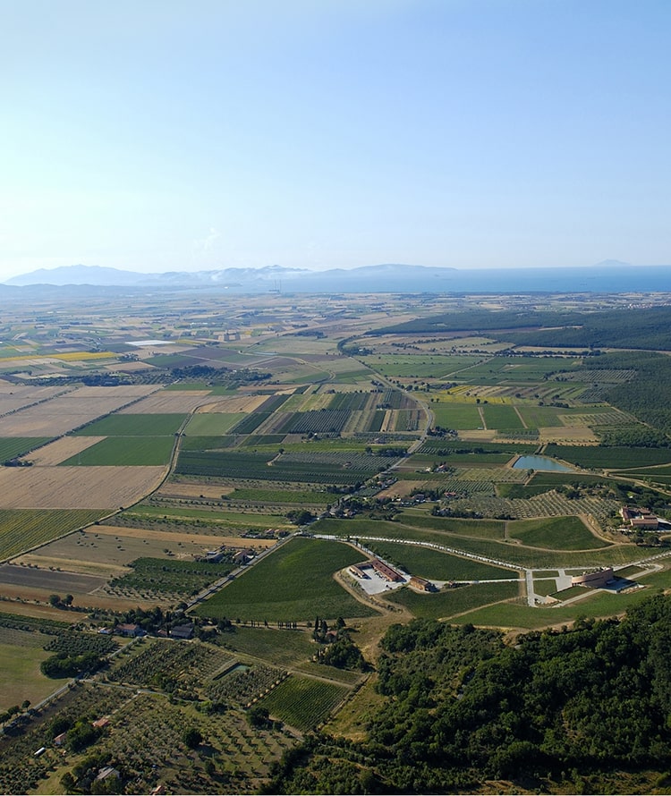 Maremma landscape photo